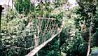 40-jungle pont suspendu.JPG
